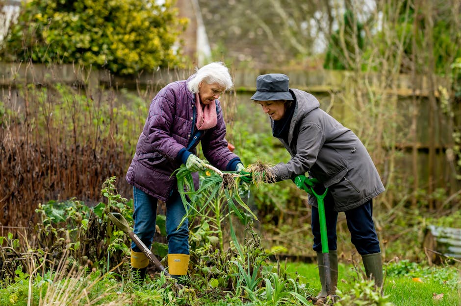Community garden volunteers planting vegetables
