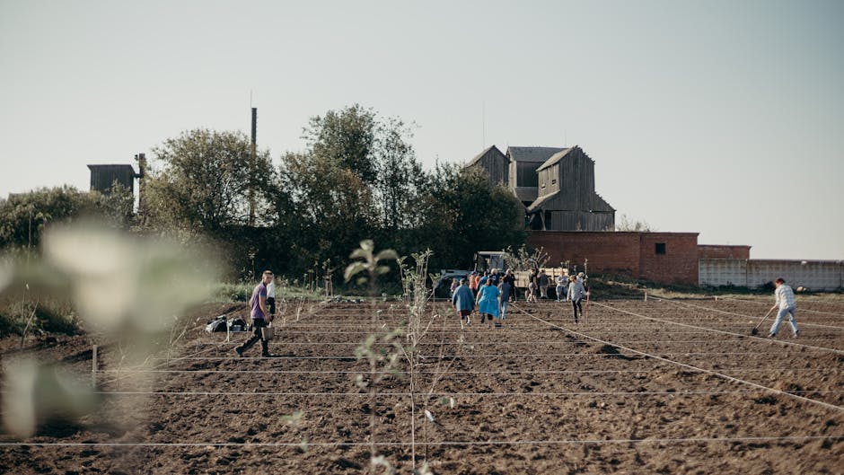 Volunteers planting trees in community garden